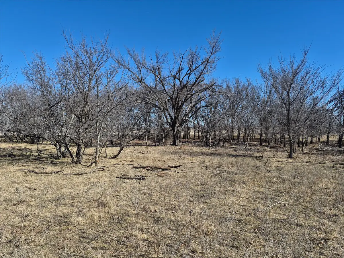 474 White Rose Road, Graham, TX 76450 - #1