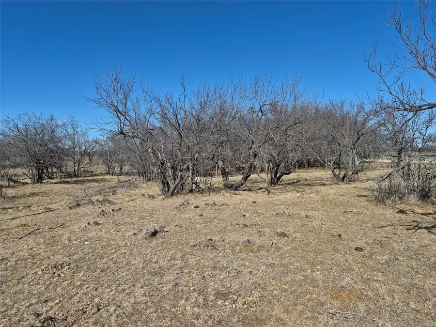 474 White Rose Road, Graham, TX 76450 - #3