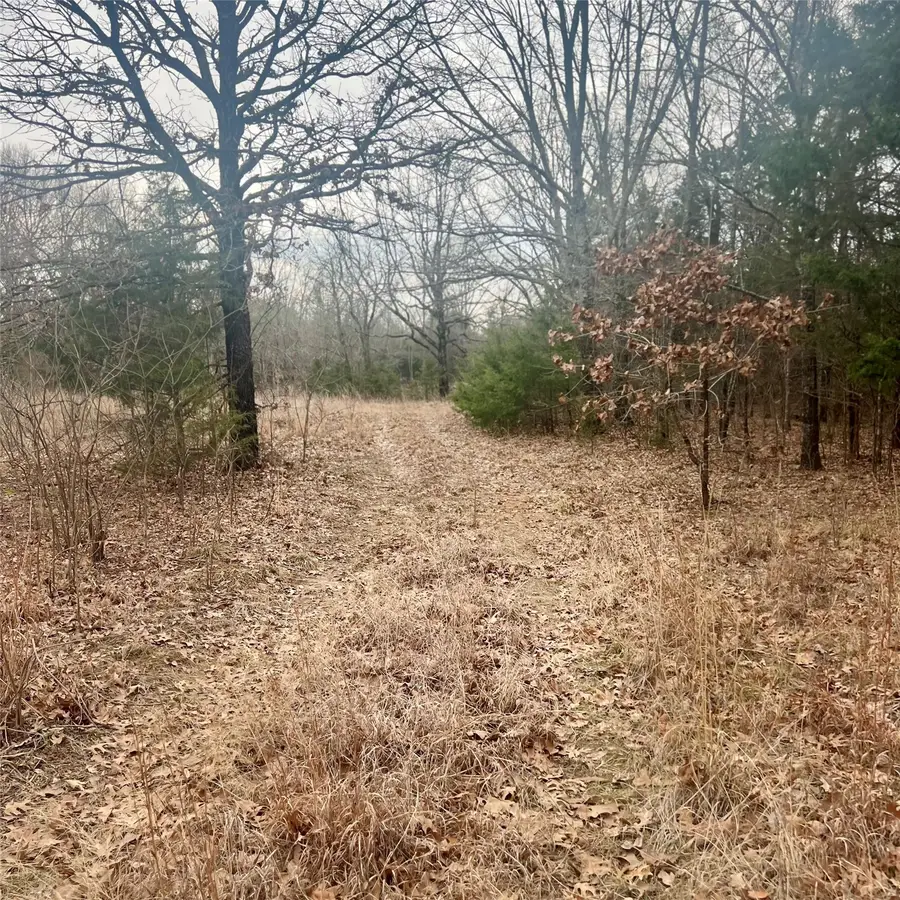 2080 County Road 4574, Sulphur Springs, TX 75482 - #2