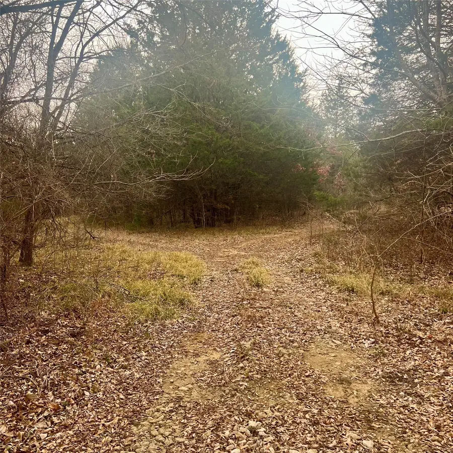 2080 County Road 4574, Sulphur Springs, TX 75482 - #3