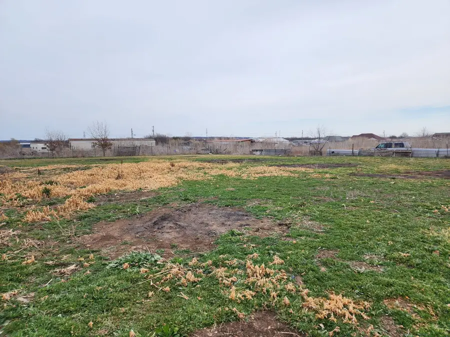 6608 Vintner Trail, Joshua, TX 76058 - #3