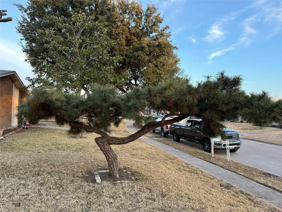 429 Hardwood Trail, Mesquite, TX 75150 - Image #3