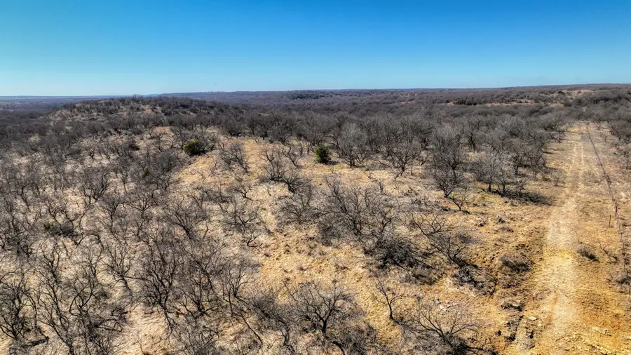 220 ac Hwy 281 S Highway, No City, TX 76486 - #3