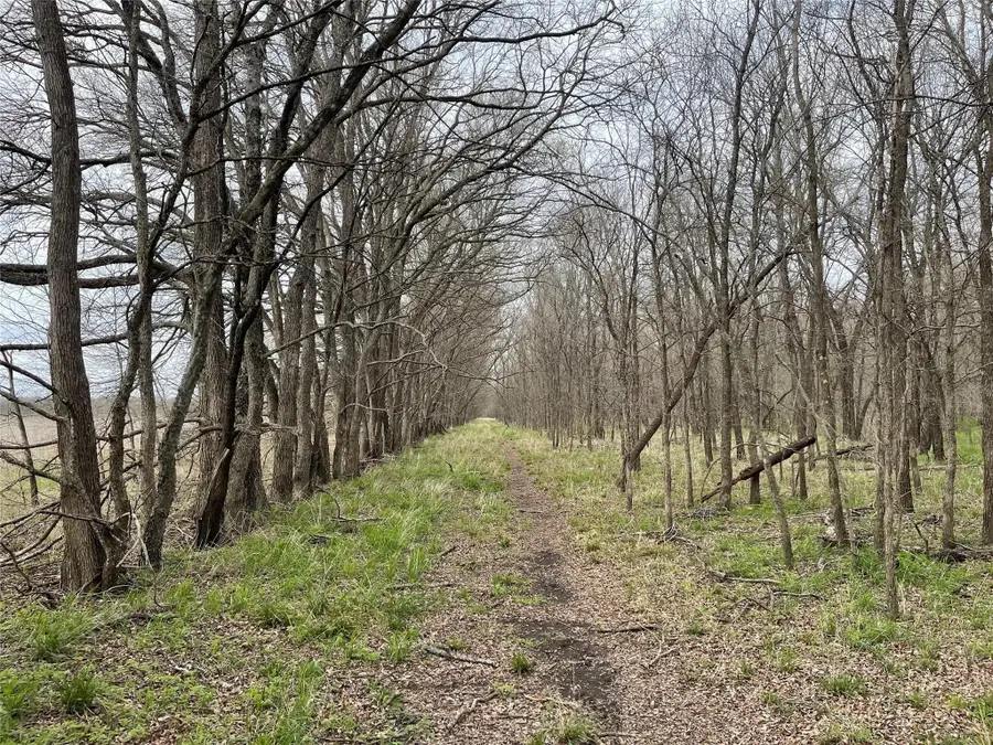 TBD Independence Springs, Sherman, TX 75090 - #2