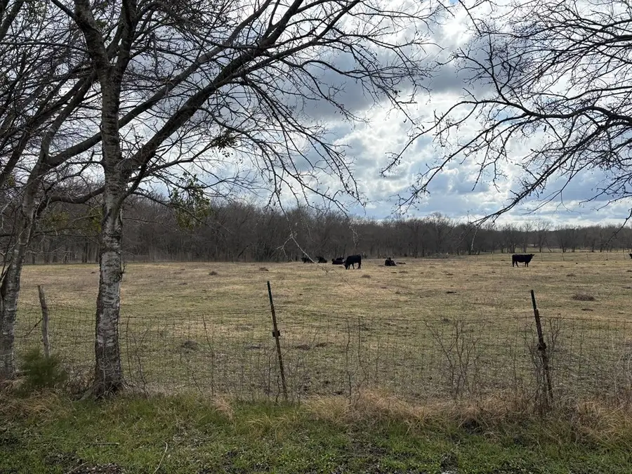 5961 County Road 4127, Scurry, TX 75158 - #2