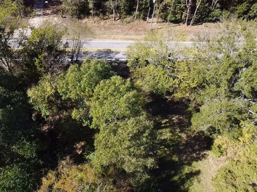 TBD Fm 1799, Alba, TX 75410 - #3