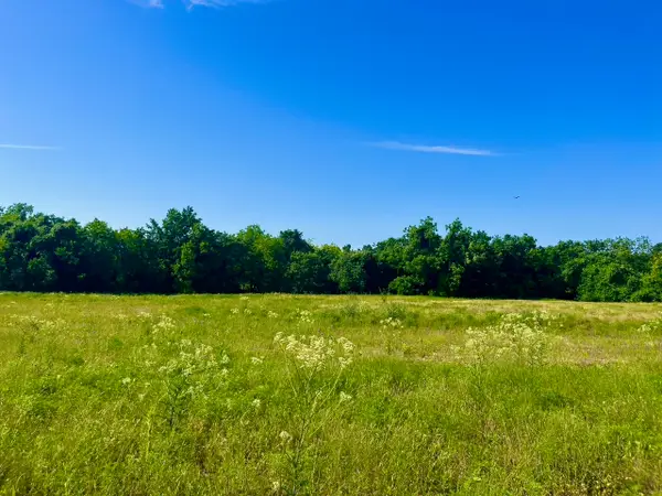 Lot 65 Kilkenny Road, Poolville, TX 76487