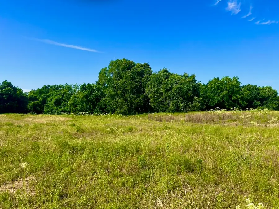 Lot 65 Kilkenny Road, Poolville, TX 76487 - #2