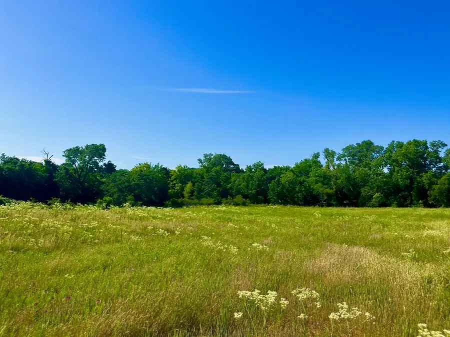 Lot 69 Kilkenny Road, Poolville, TX 76487 - #3