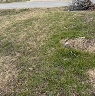 S40 - 20 3 ORR 0.069 ACRE Ash Street, Ellis, TX 75125 - #1