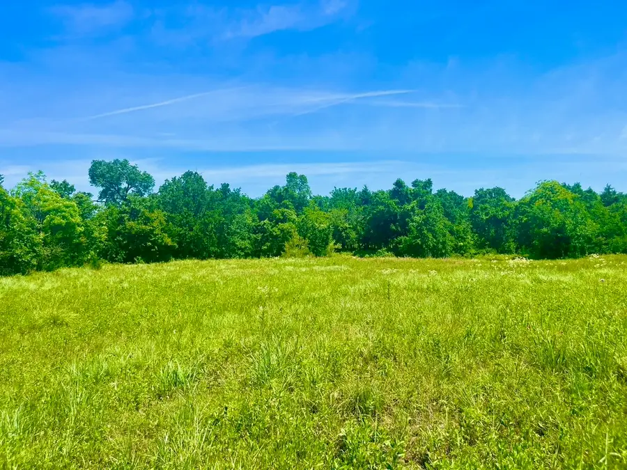 Lot 102 Arlow Road, Poolville, TX 76487 - #2