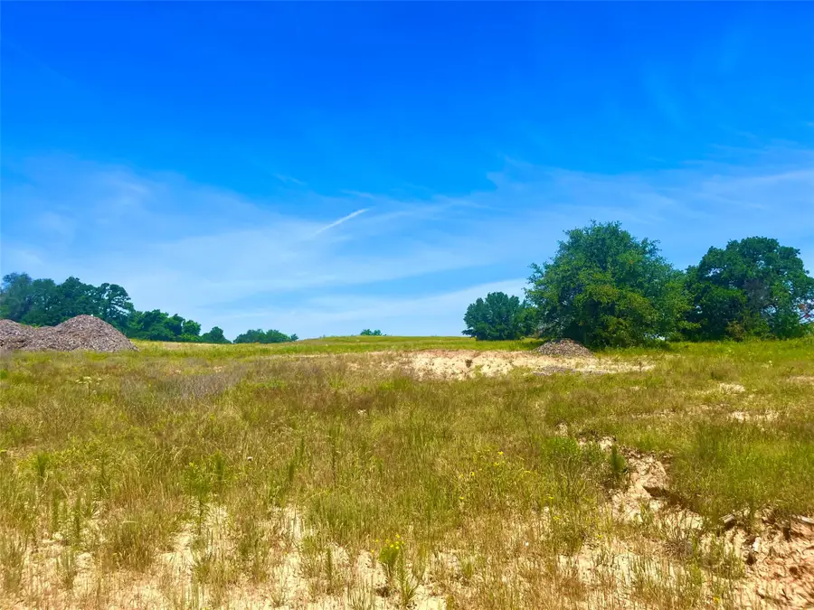 Lot 96 Kilkenny Road, Poolville, TX 76487 - #3