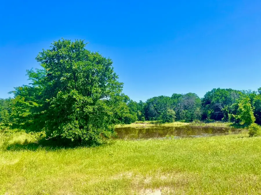Lot 36 Kilkenny Road, Poolville, TX 76487 - #2