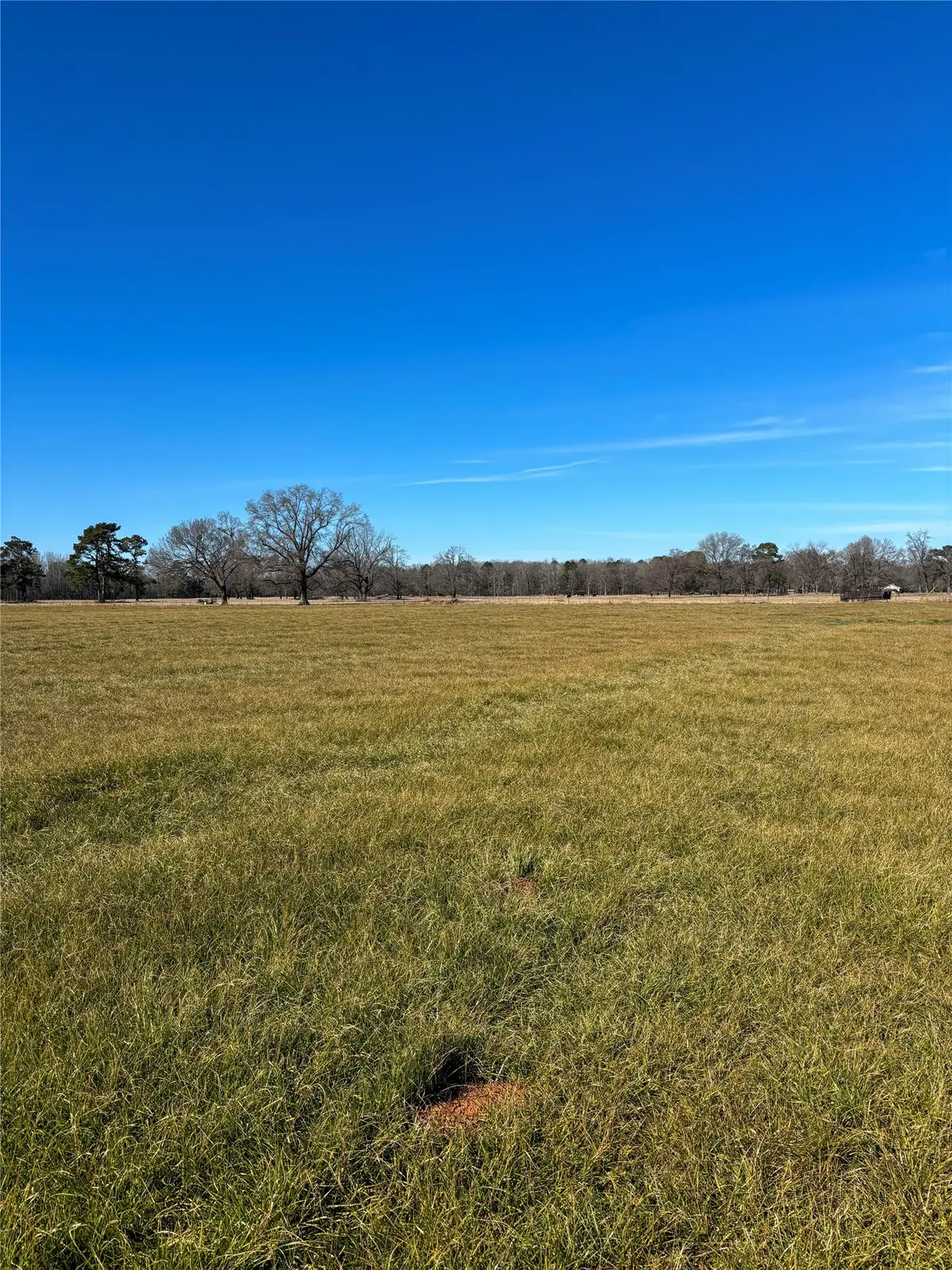 0 Hwy 8 N, New Boston, TX 75570 - #1