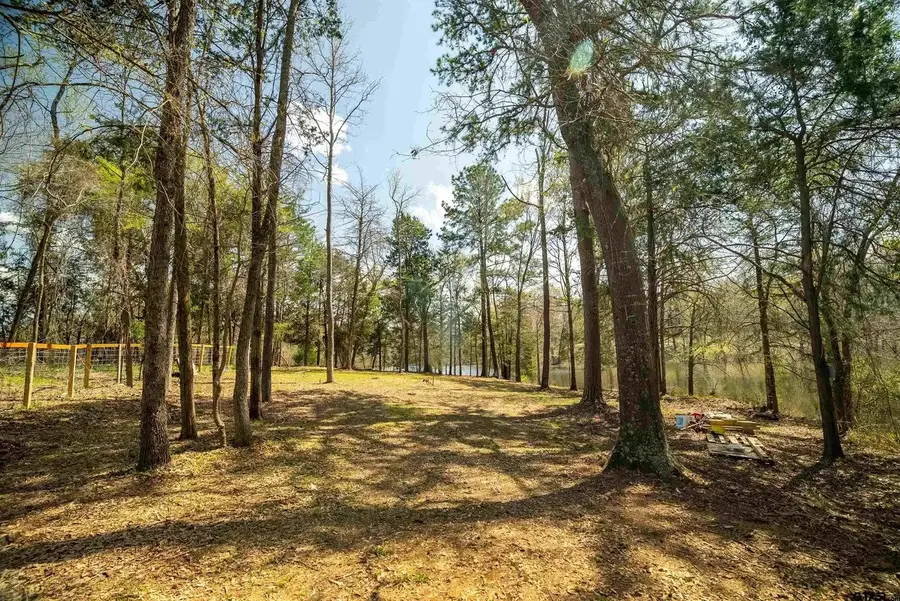 190 County Road 4826, Winnsboro, TX 75494 - Image #2