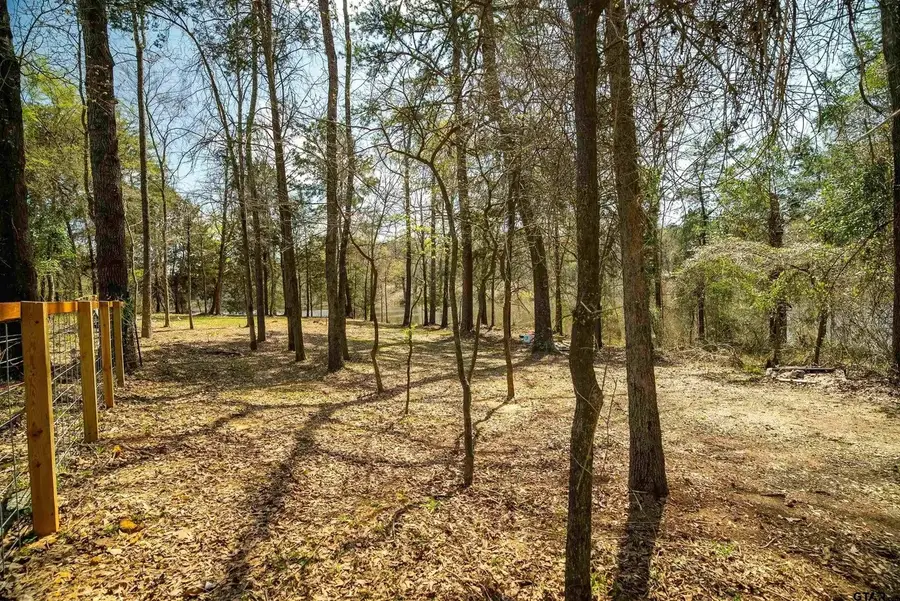190 County Road 4826, Winnsboro, TX 75494 - Image #3
