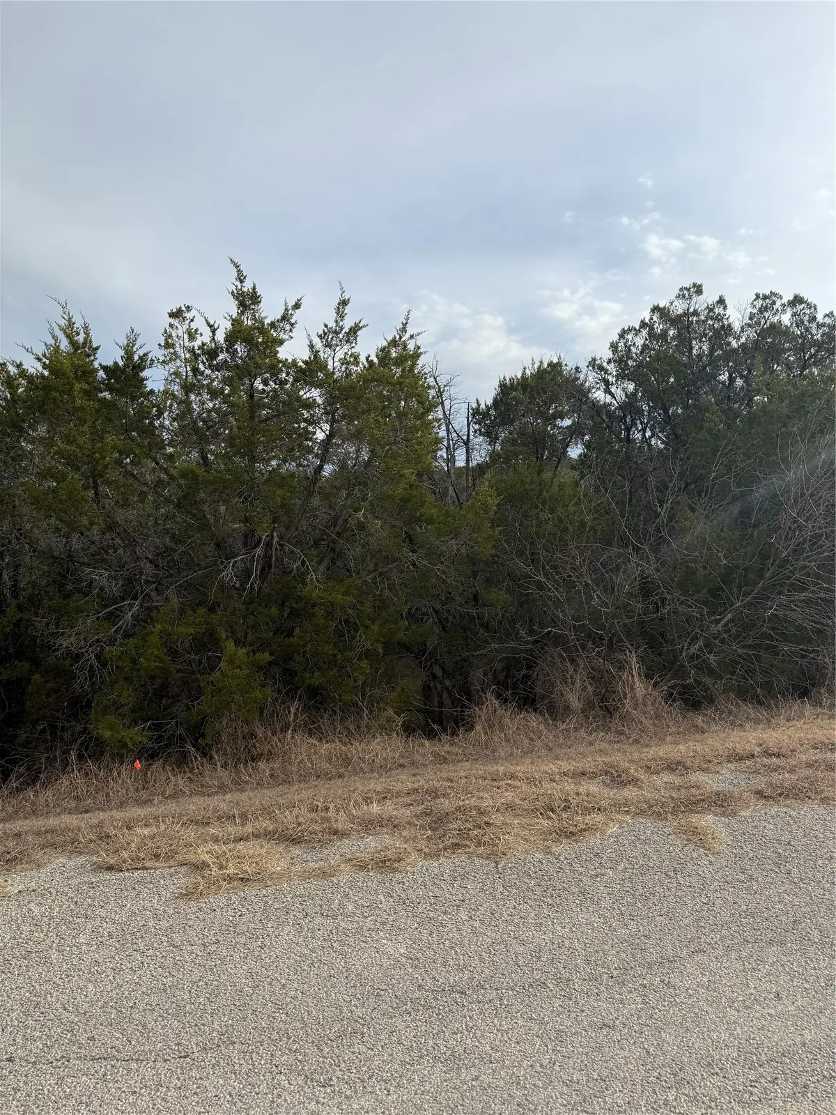 3111 Canadian River Trail, Granbury, TX 76048 - #1