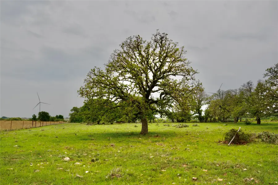 621 E Fm 572, Goldthwaite, TX 76844 - #2