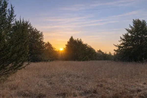 Lots 162A, 162B, 163A Sw Cr 4011, Dawson, TX 76639