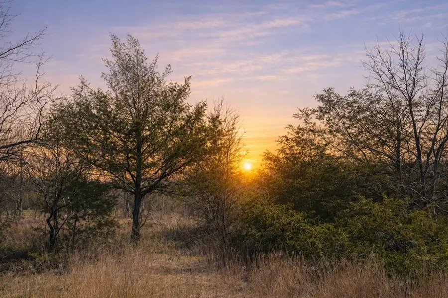 Lots 162A, 162B, 163A Sw Cr 4011, Dawson, TX 76639 - #2