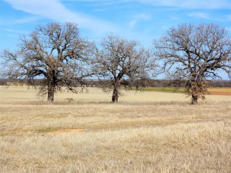 0000 County Road 438, Rising Star, TX 76471 - #3