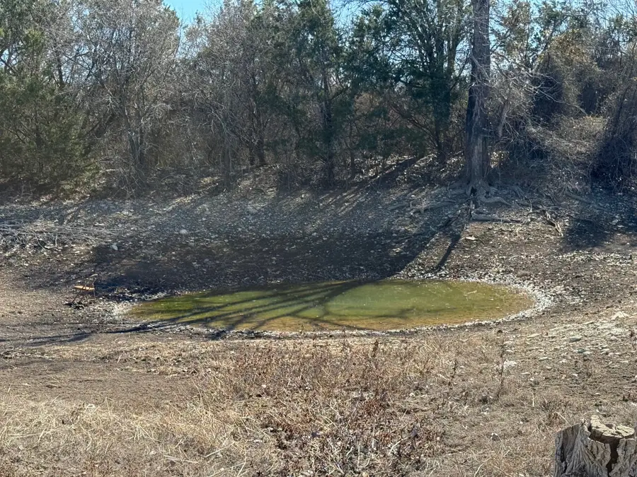 7385 Hayworth Highway, Granbury, TX 76048 - Image #3