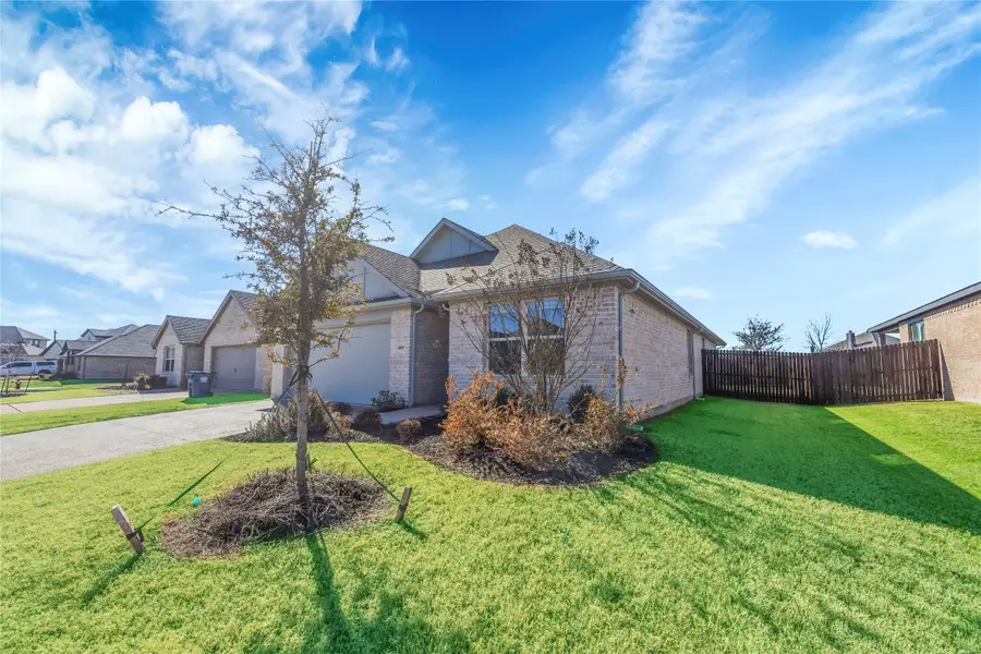 4009 Mockingbird Lane, Melissa, TX 75454 - #3