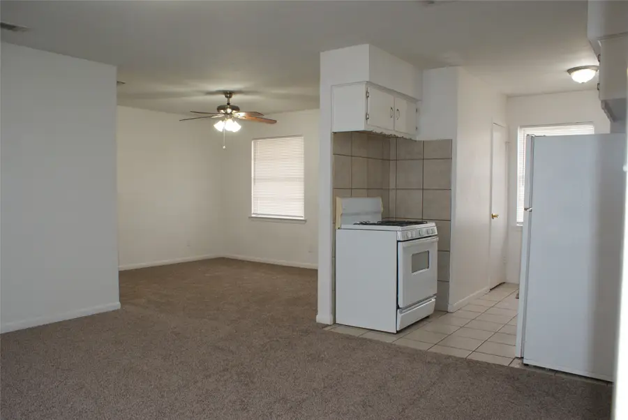 310 Bryan Street, Weatherford, TX 76086 - #3