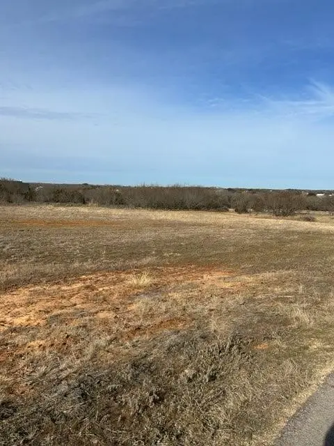 1028 Annabelles Avenue, Weatherford, TX 76087 - #2