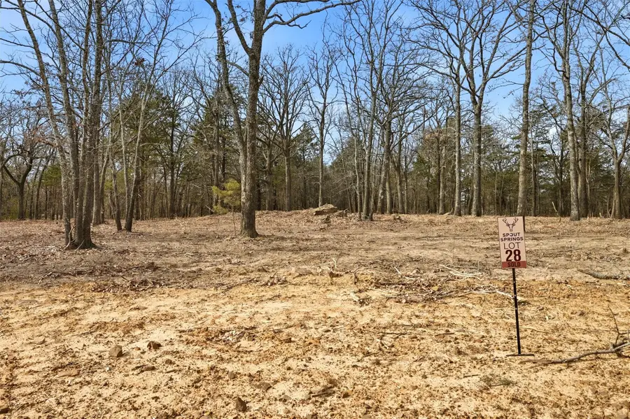Lot 28 White Tail Way, Pottsboro, TX 75076 - #3