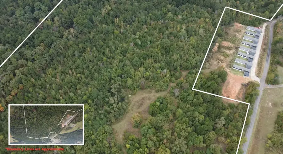 TBD Mt Pleasant Cutoff, Hallsville, TX 75650 - #3