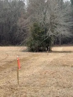 0 Bellevue Road #Lot 1, Haughton, LA 71037 - #1