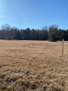 0 Bellevue Road #Lot 1, Haughton, LA 71037 - #2