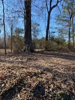 0 Bellevue Road #Lot 2, Haughton, LA 71037 - #3