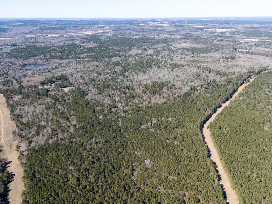 00000 County Road 442, Palestine, TX 75803 - #2