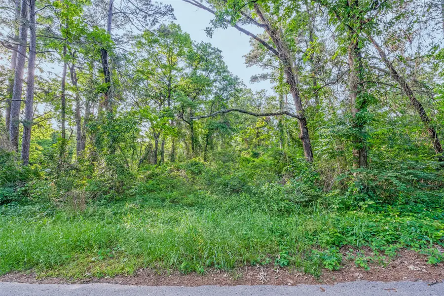 0 Forest Hill. Drive, Frankston, TX 75763 - #2