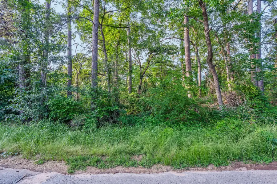 0 Forest Hill. Drive, Frankston, TX 75763 - #3