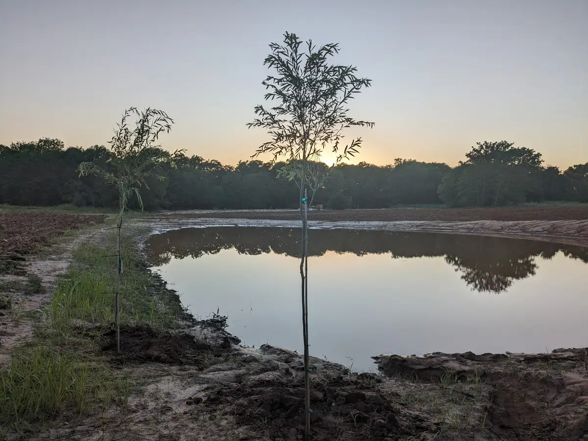 268 Private Road 3427, Bridgeport, TX 76426 - #1