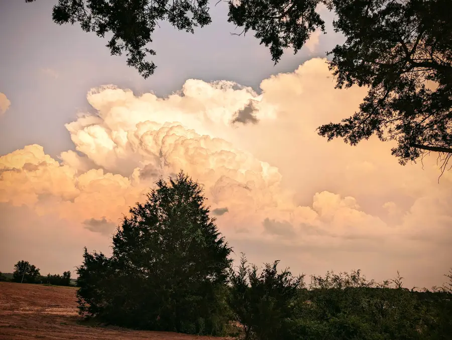 268 Private Road 3427, Bridgeport, TX 76426 - #2