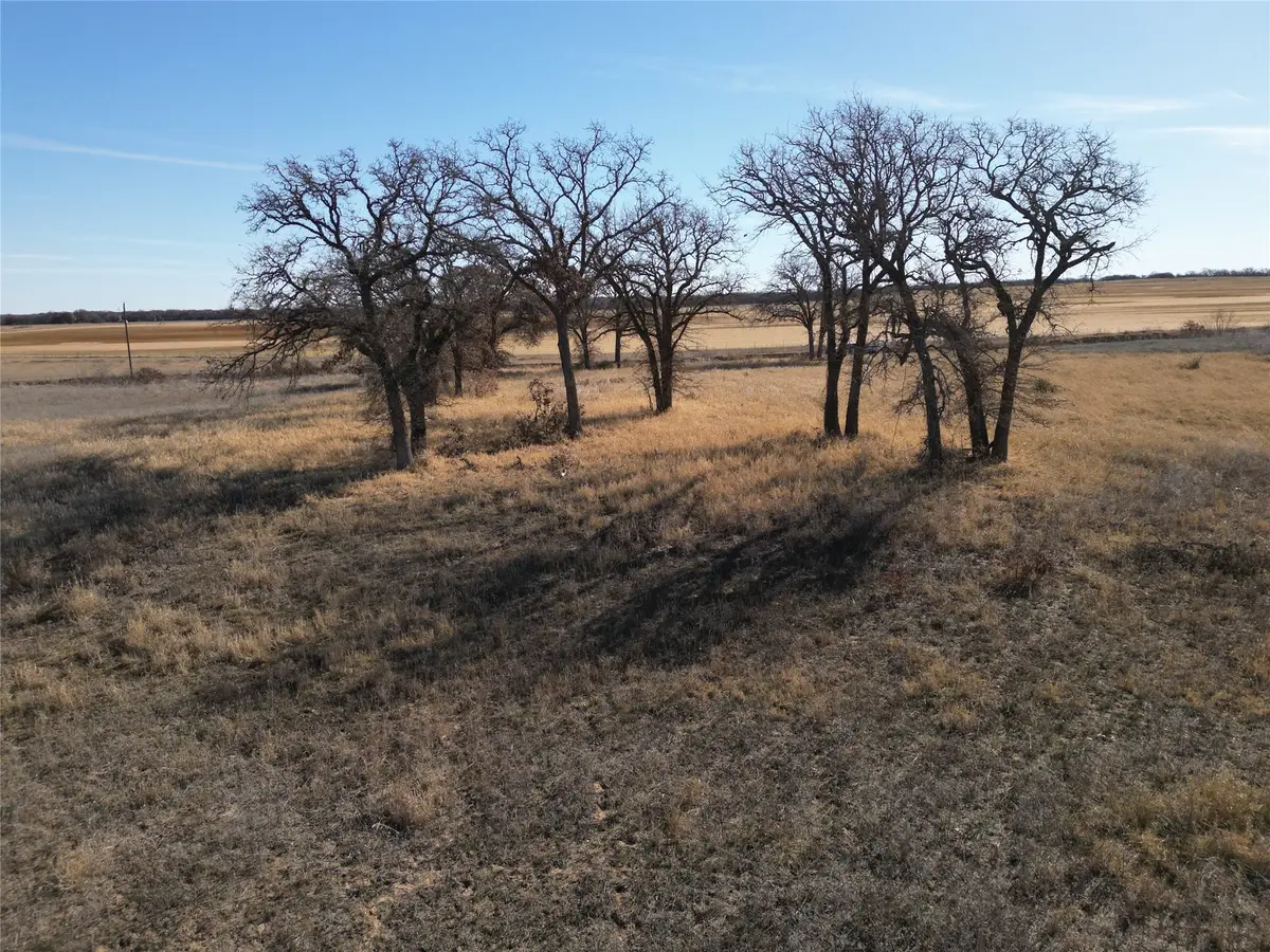 1235 County Road 226, Rising Star, TX 76471 - #1