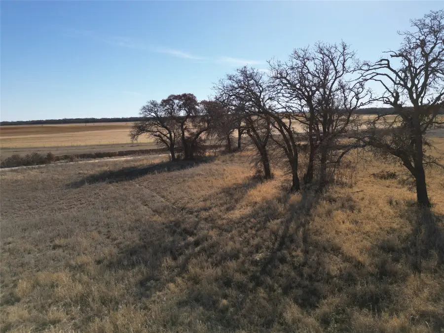 1235 County Road 226, Rising Star, TX 76471 - #3