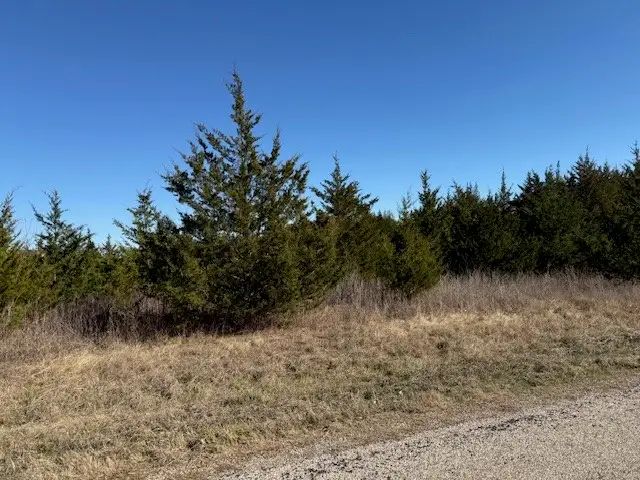 LOT 1 Cr43380, Paris, TX 75462 - #3