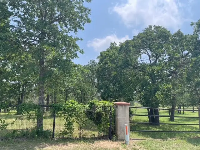 142 Clearwater Drive, Poolville, TX 76487 - #3