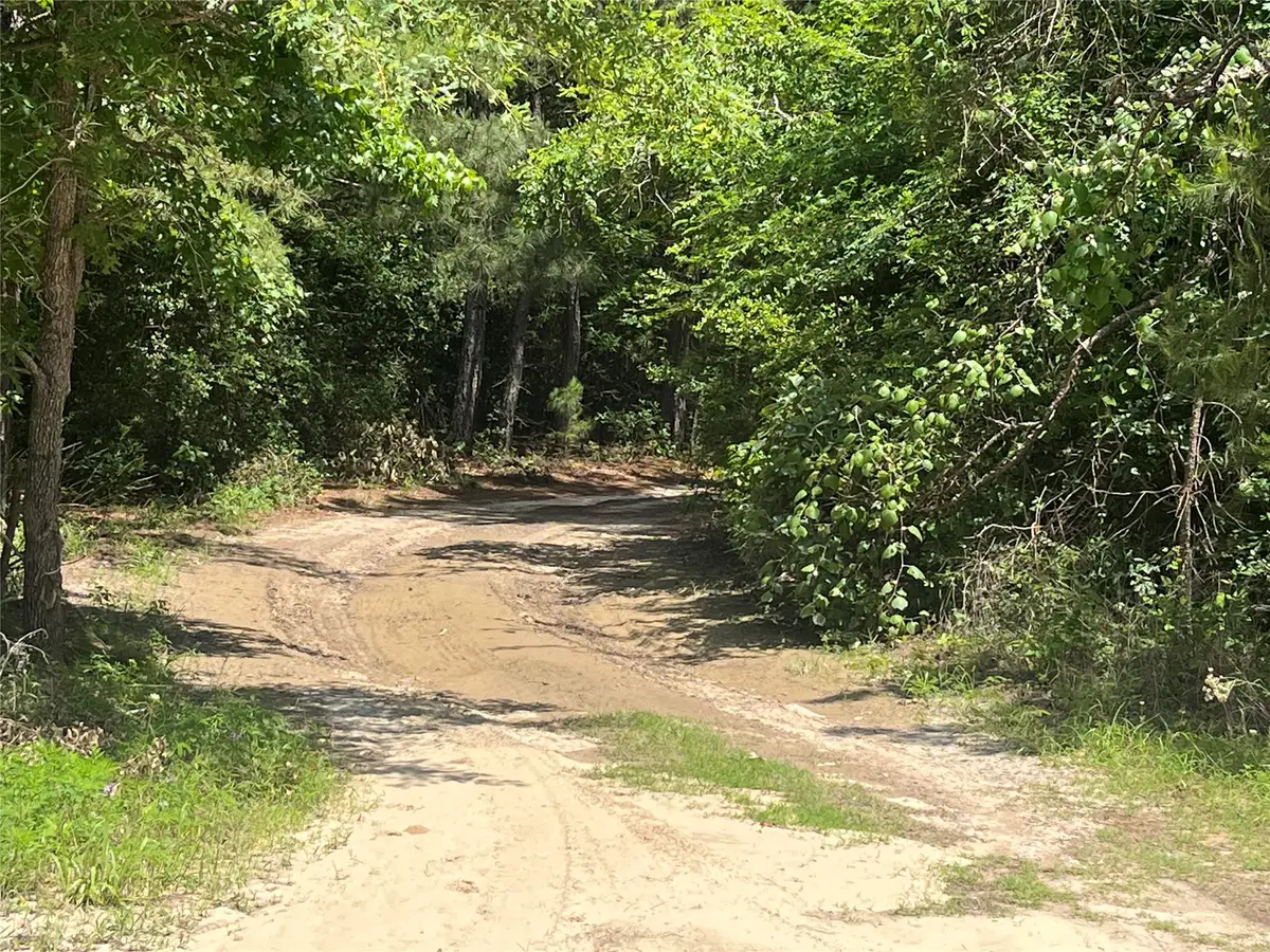 99999 Cr 207, Centerville, TX 75833 - #1