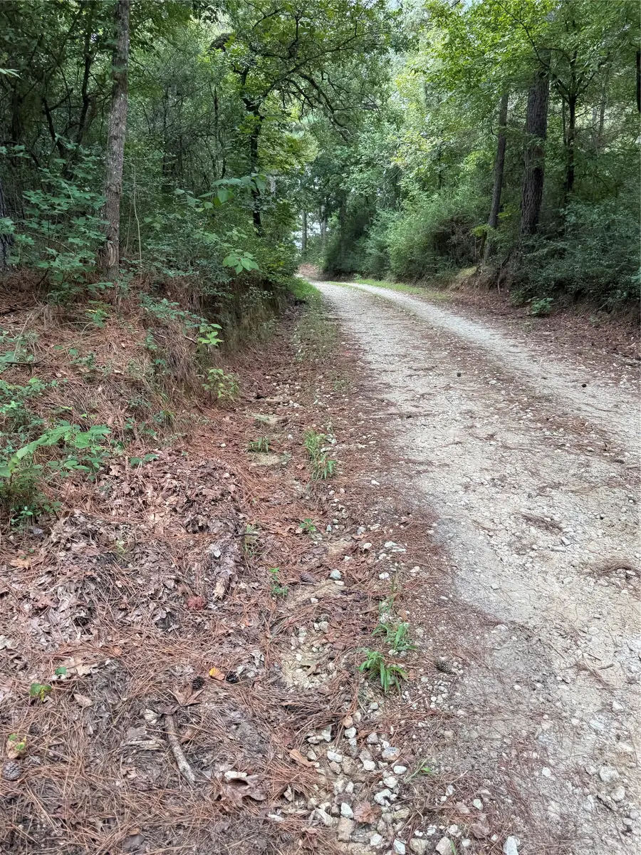 99999 Cr 207, Centerville, TX 75833 - #3