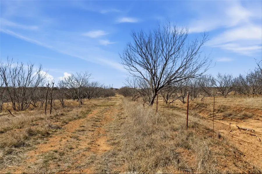 3574 E 180, Breckenridge, TX 76424 - #3