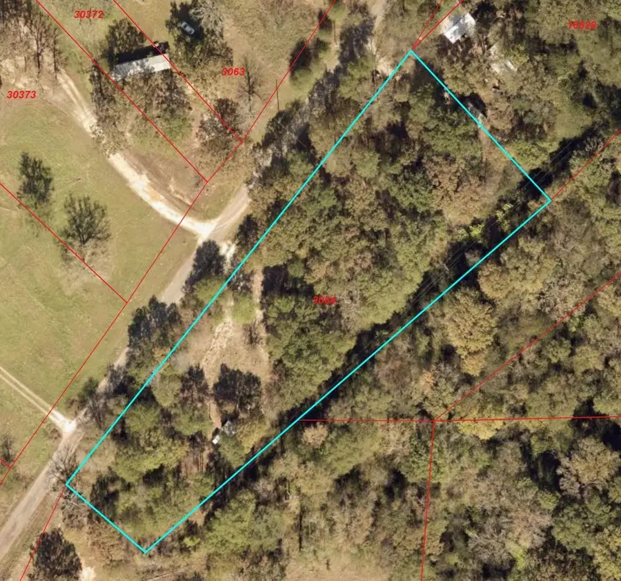 1332 RS County Road 2570, Alba, TX 75410 - #2