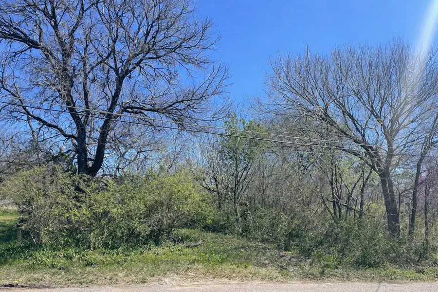 1021 N Branch Street, Sherman, TX 75090 - #3