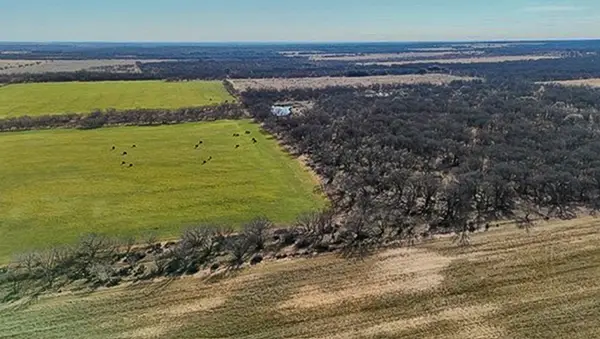 454 County Road 196, Gorman, TX 76454