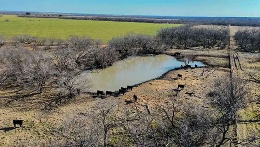 454 County Road 196, Gorman, TX 76454 - #2